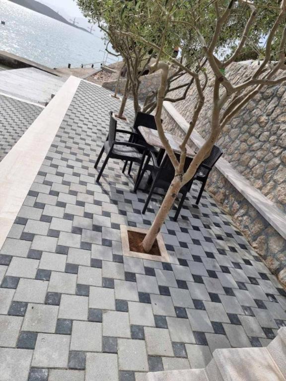 Apartments Domane Nenad 네움 외부 사진